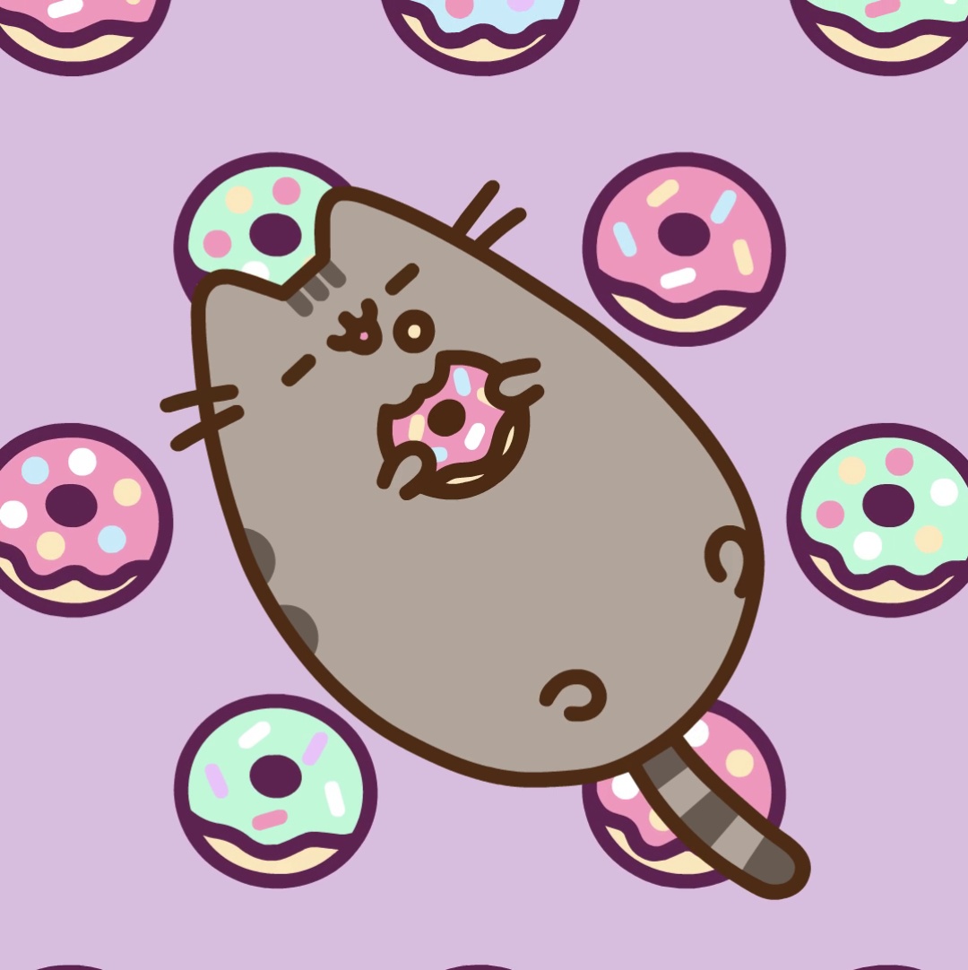 pusheen fluffy cat